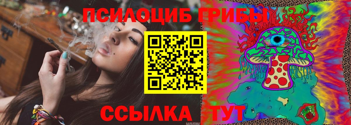 Галлюциногенные грибы Psilocybine cubensis  Галлюциногенные грибы GOLDEN TEACHER  Вход с VPN  Тара 